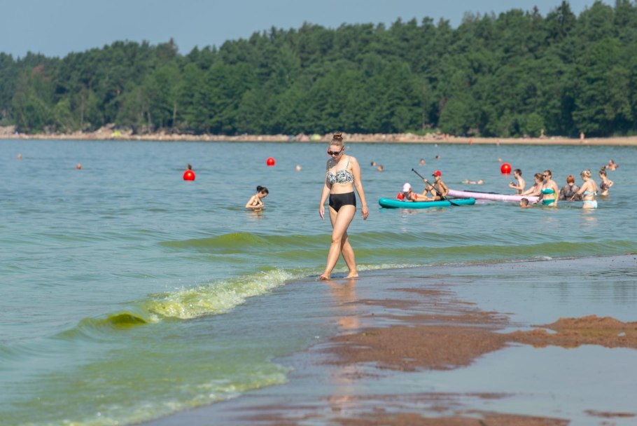 Озеро Эри эвтрофикация