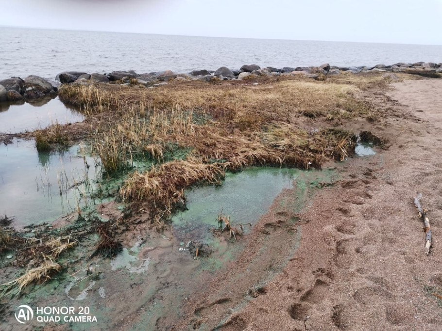 Эвтрофикация Балтийского моря