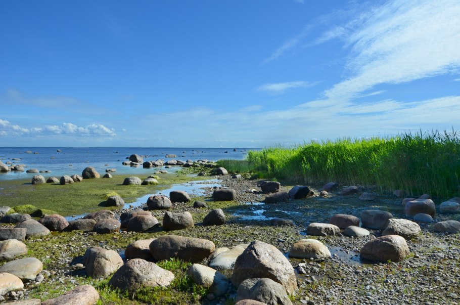 Эвтрофикация черного моря