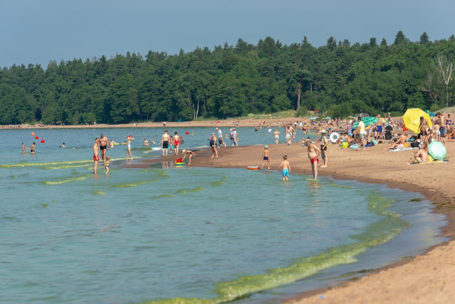 Финский залив