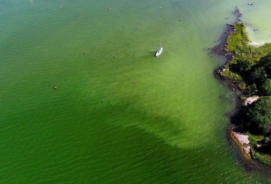 Цветение водорослей в Анапе