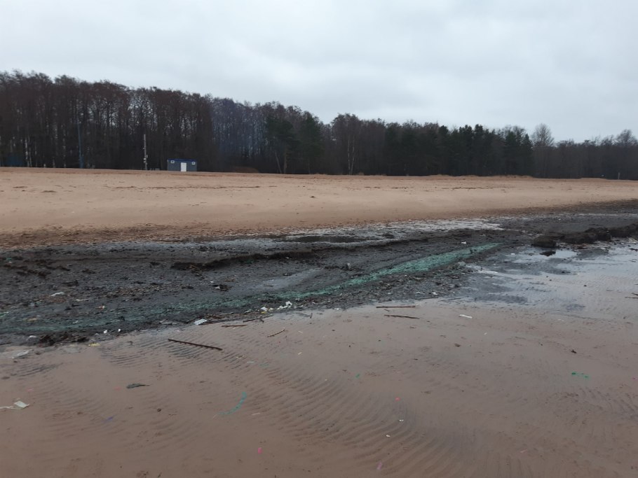 Растительность Каспийского моря