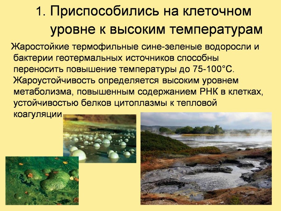 Мыс Стирсудден финский залив