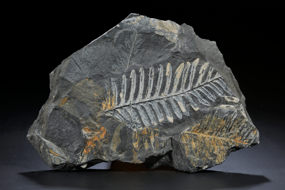 Подготовка к декабрьскому сочинению