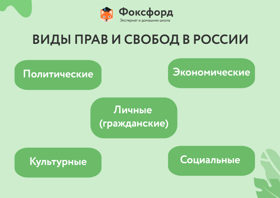 Заросток папоротника