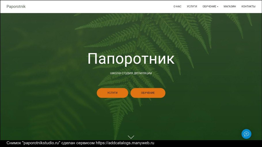 Жизненный цикл разноспоровых папоротников