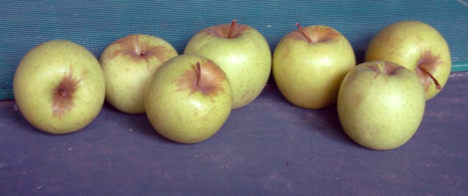 Яблоки Грушовка