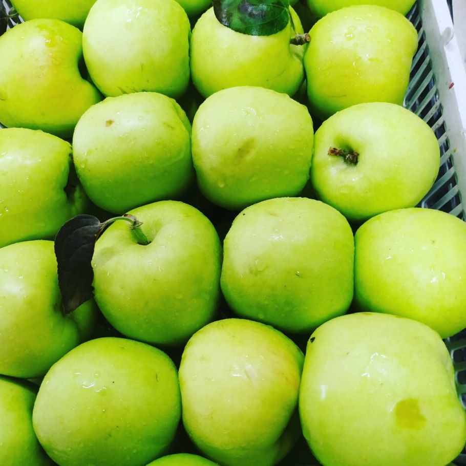 Яблоня Марат Бусурин