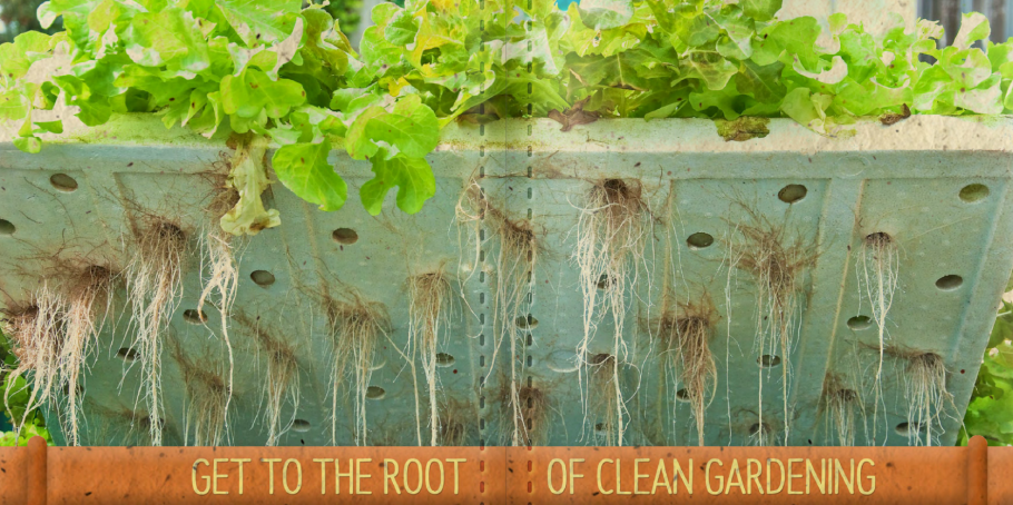 Гидропоника Deep Water Culture