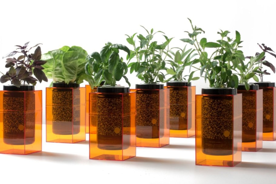 Хемопоника Ионопоника