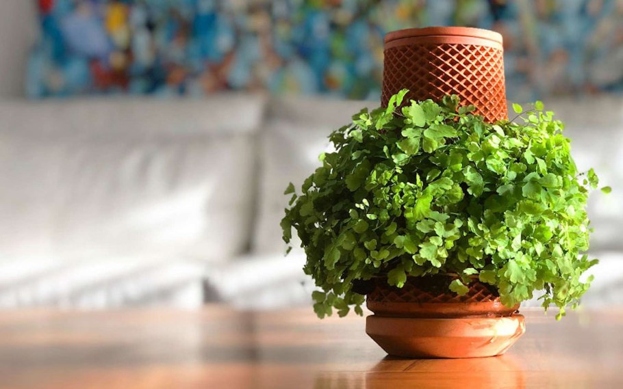 Гидропонный аппарат Terra Planter