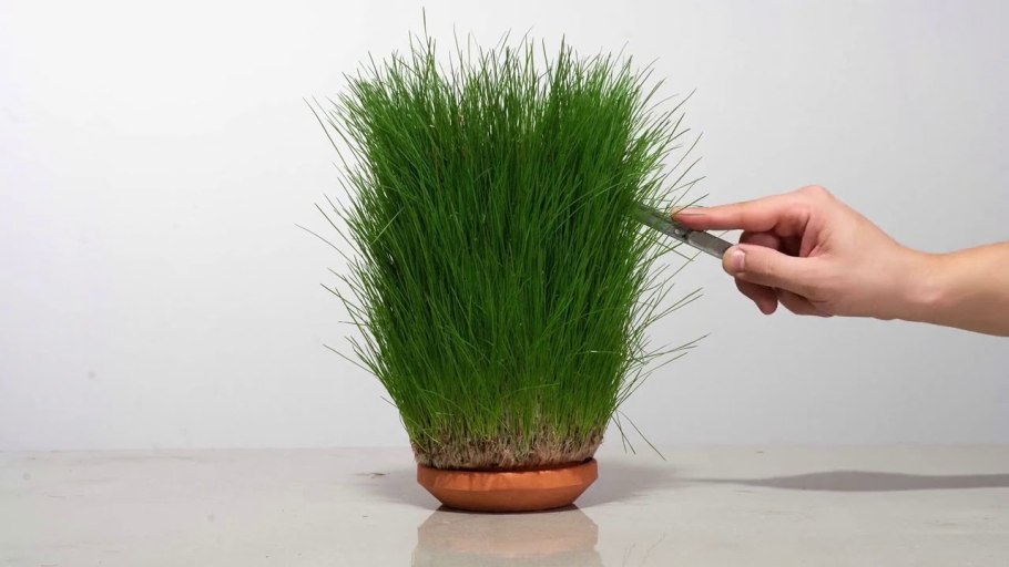 Терраплантер для цветов