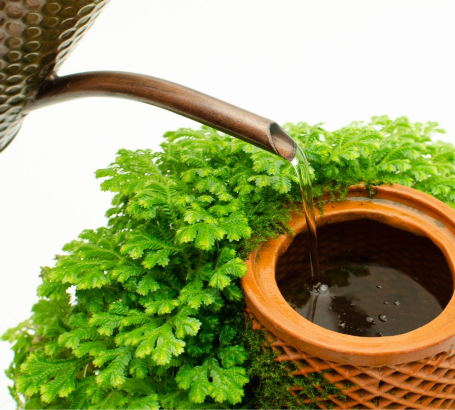 Гидропонный горшок TERRAPLANTER