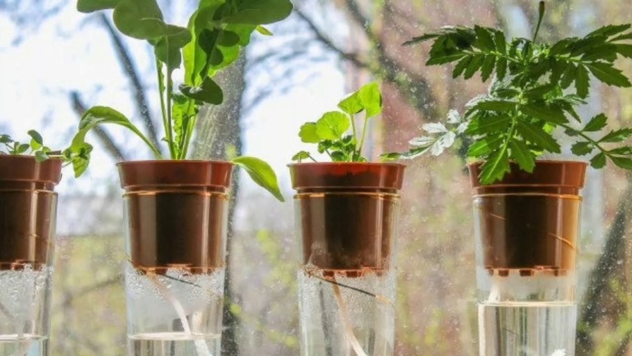 Горшок для орхидеи с фитильным поливом