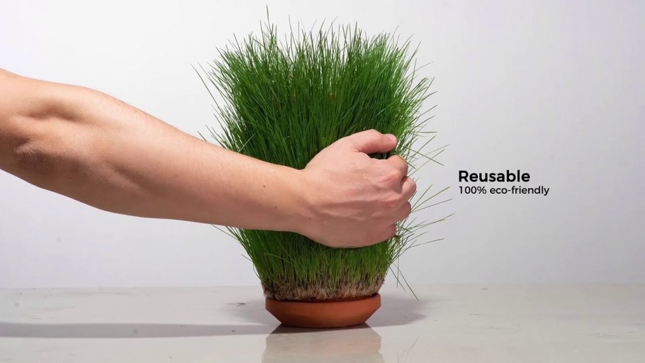 Шпинат гидропоника