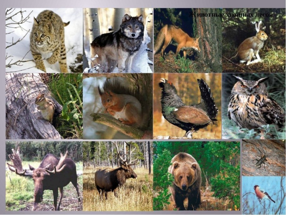 Природа Табасаранского района