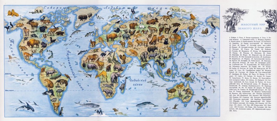 Коллаж животных