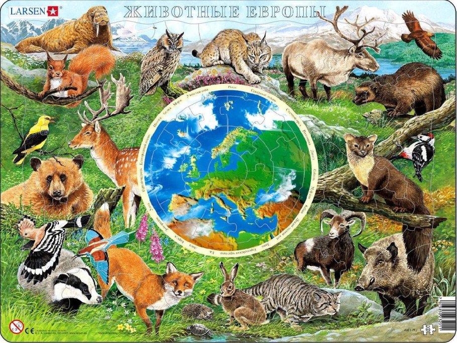 Животный мир Европы