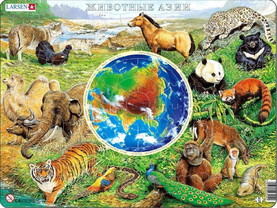 Растительный и животный мир Северной Америки