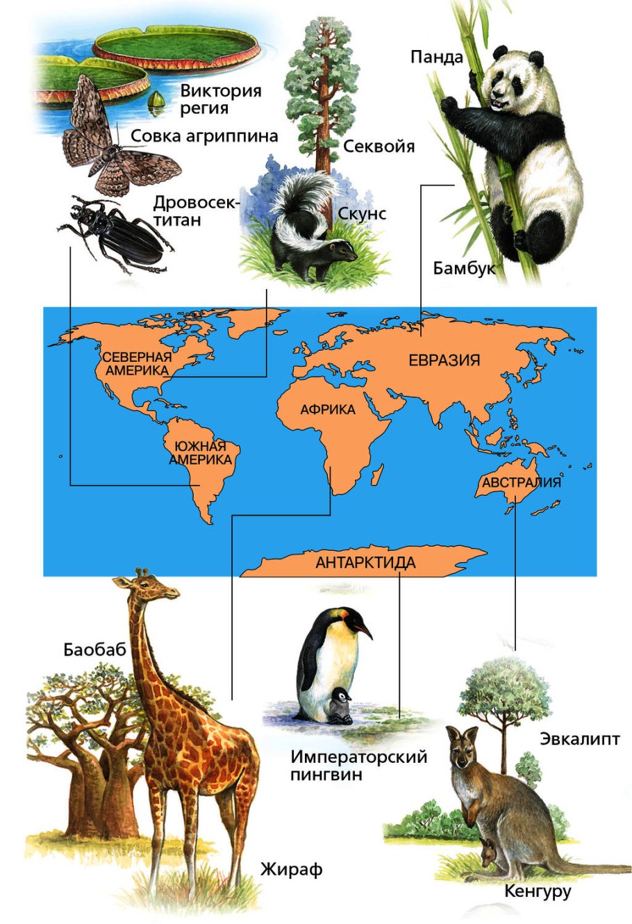 Растительность в горах
