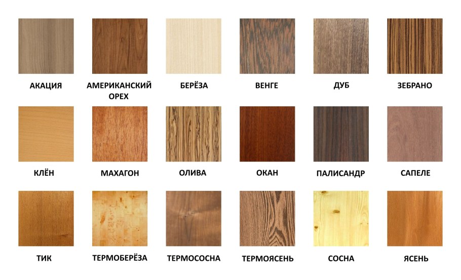 Дуб бук ясень орех цвет