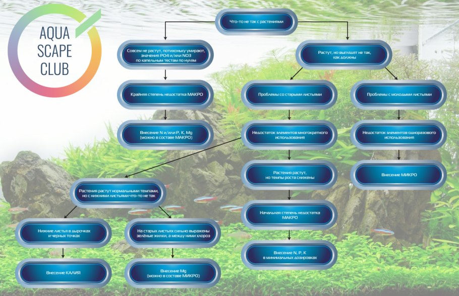 Параметры воды для аквариума с растениями