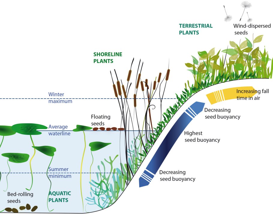 Terrestrial ecosystem ecology