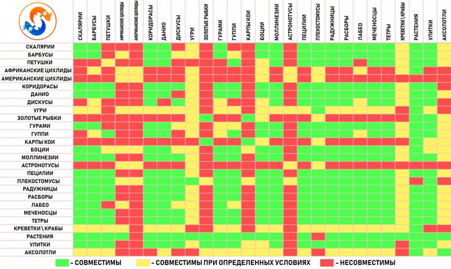 Схема классификации вегетативных органов цветкового растения