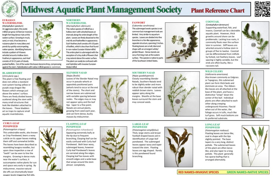 Plants Chart