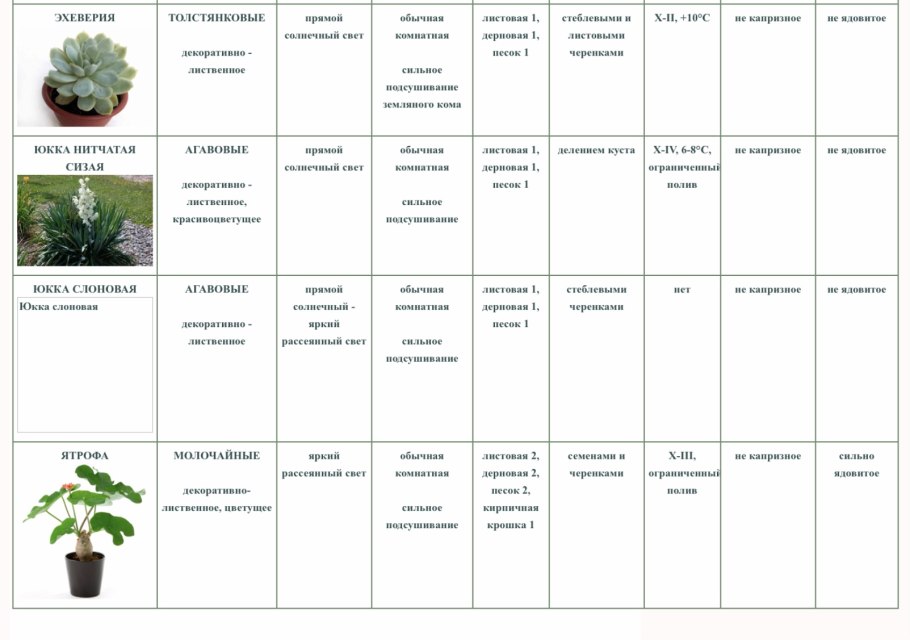 Уход за цветами комнатными в таблице