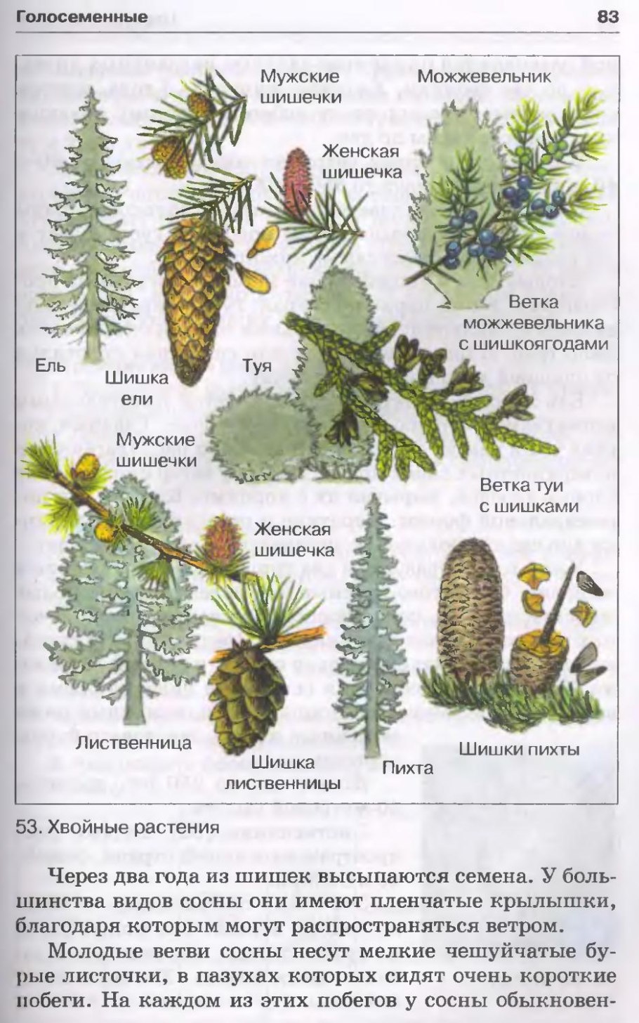 Царства растений подцарства и отделы