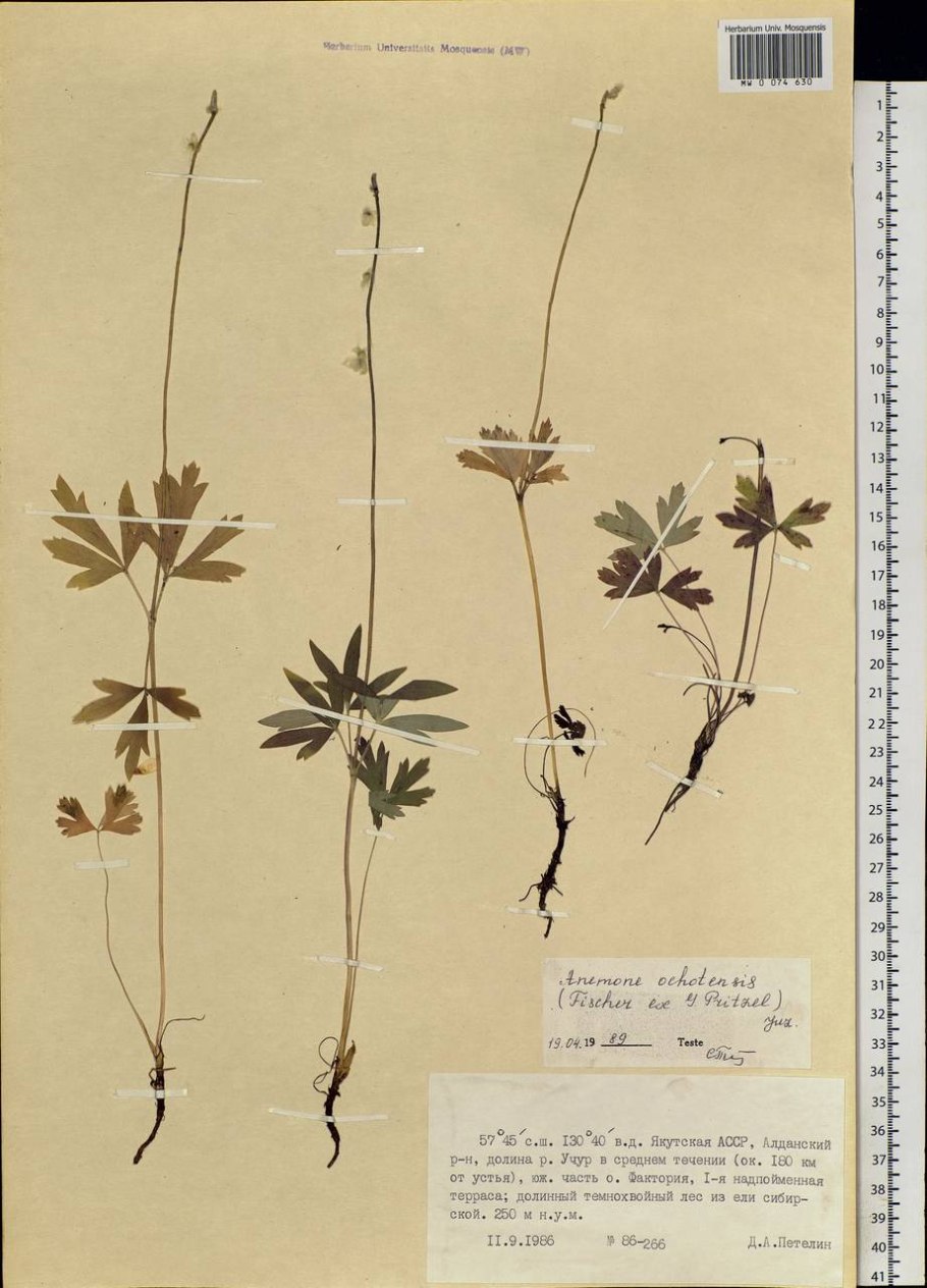 Экологический и географический критерии