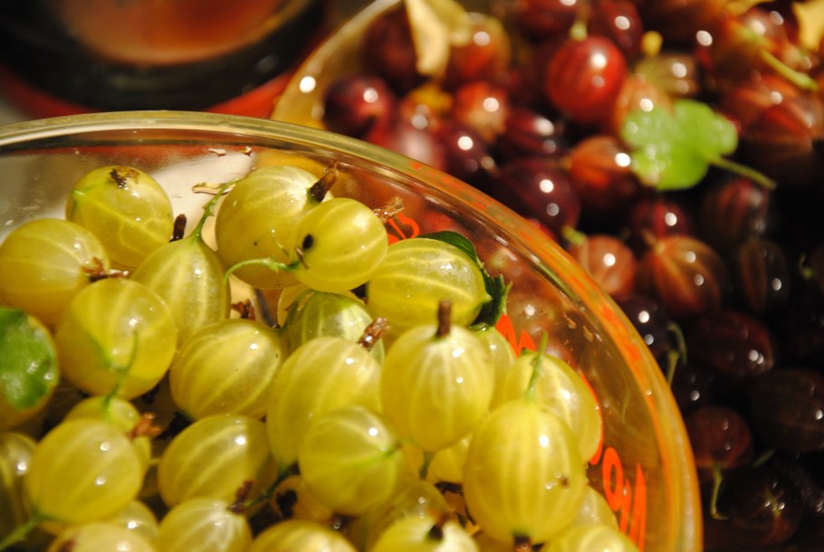 Негус крыжовник