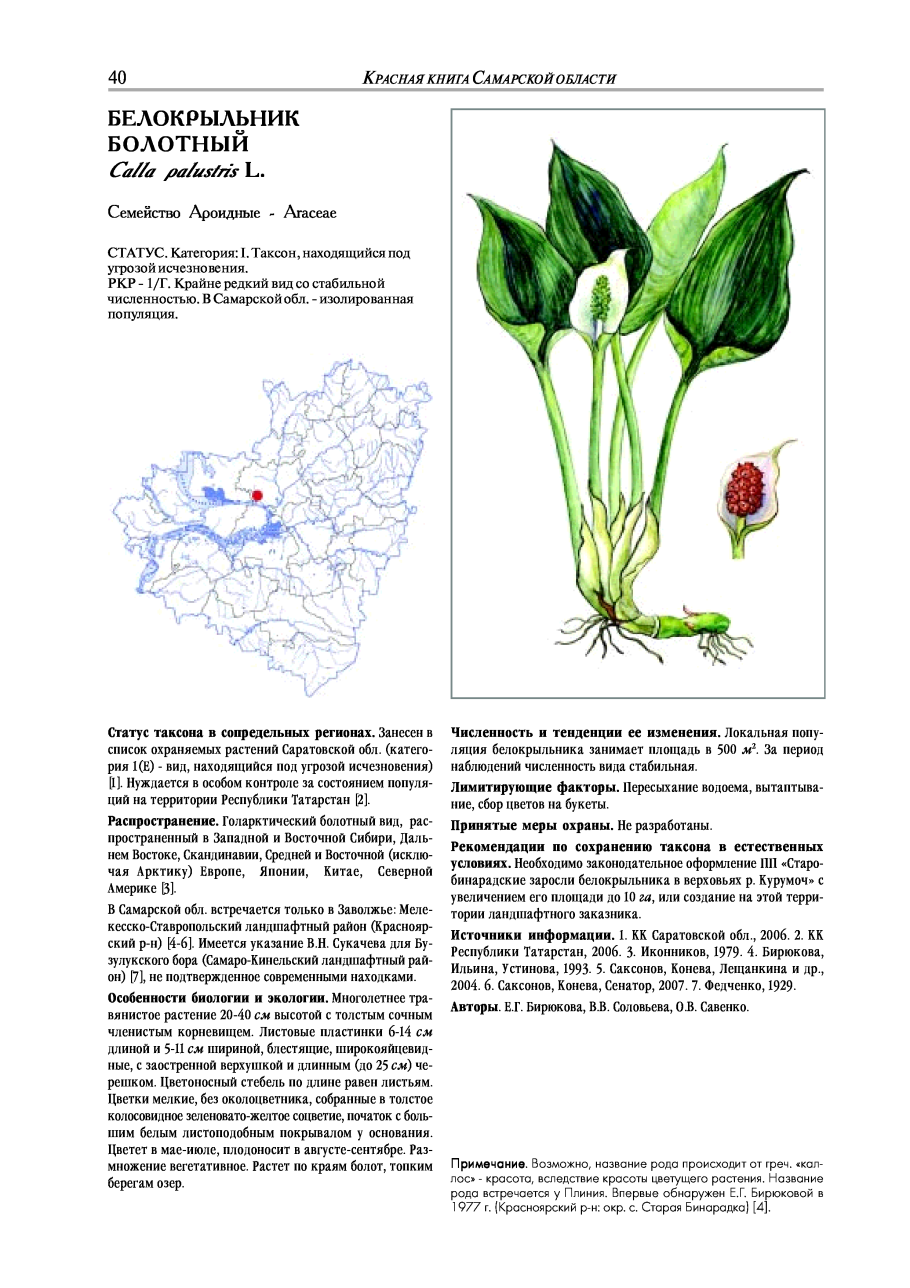 Квітка Червоної книги України