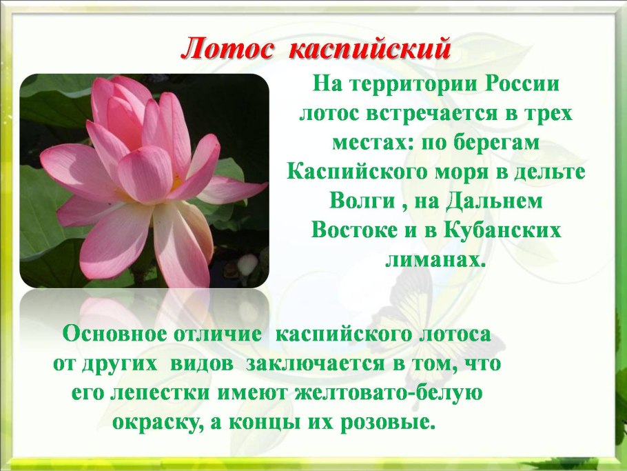 Редкие охраняемые растения