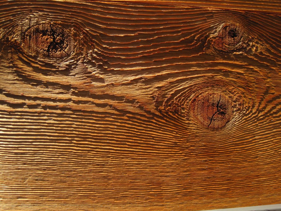 Хвоинки лиственницы