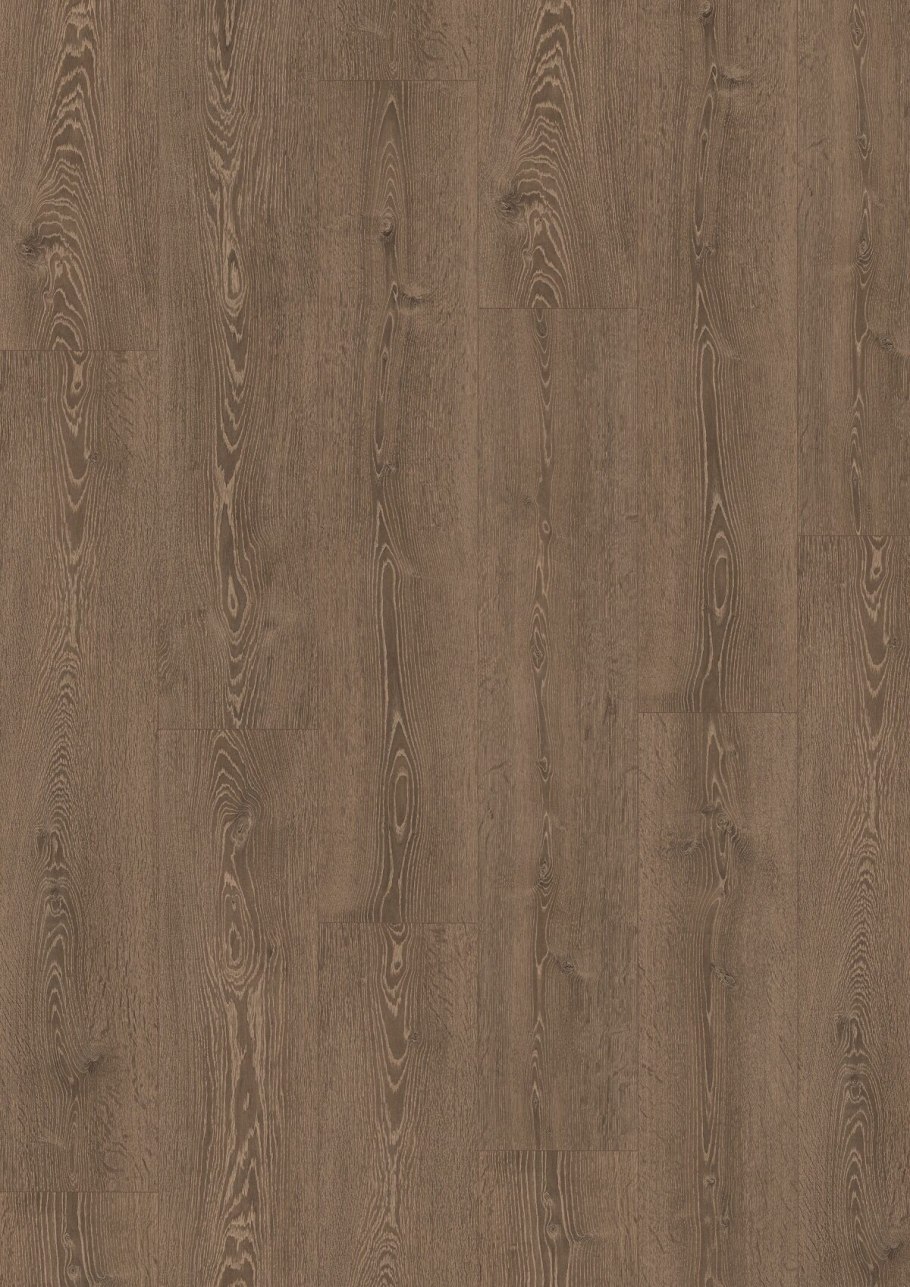 Лиственница Гмелина шишки