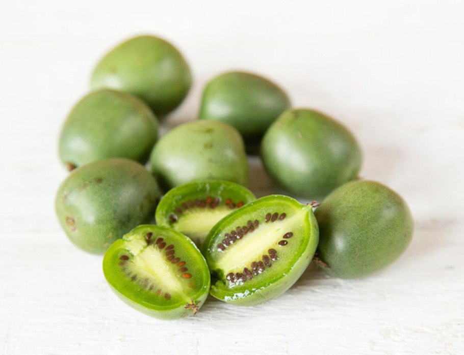 Актинидия полигама Лиана