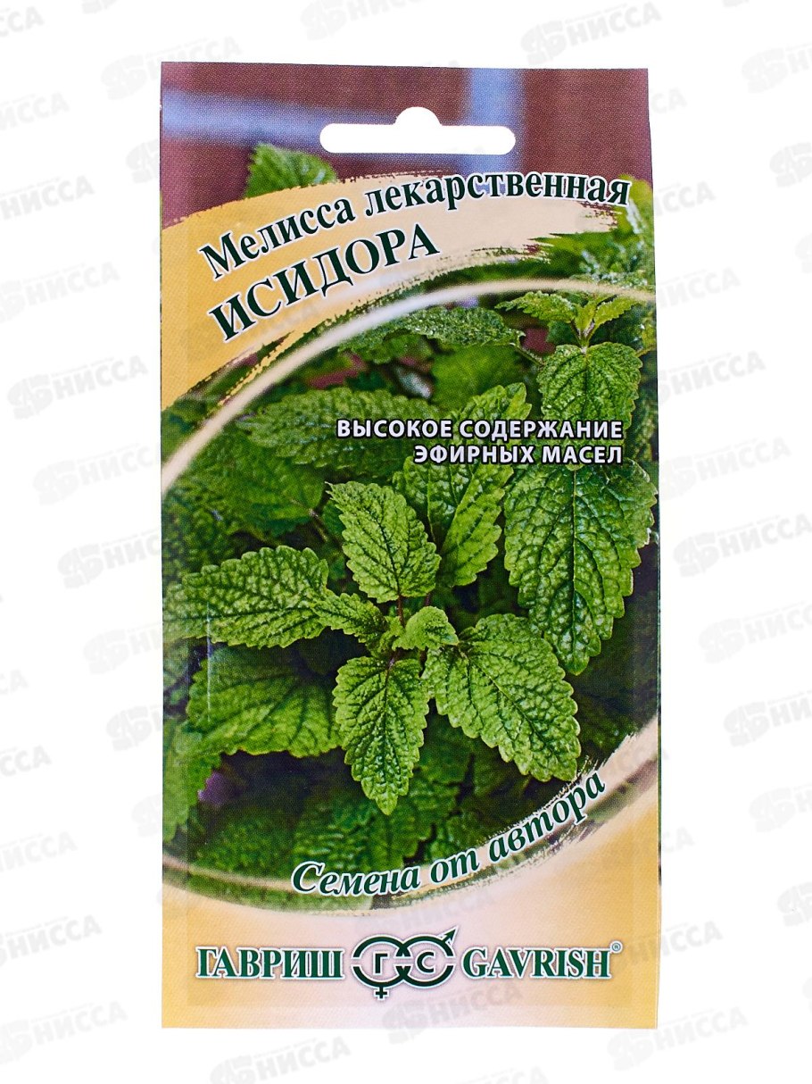 Мята перечная