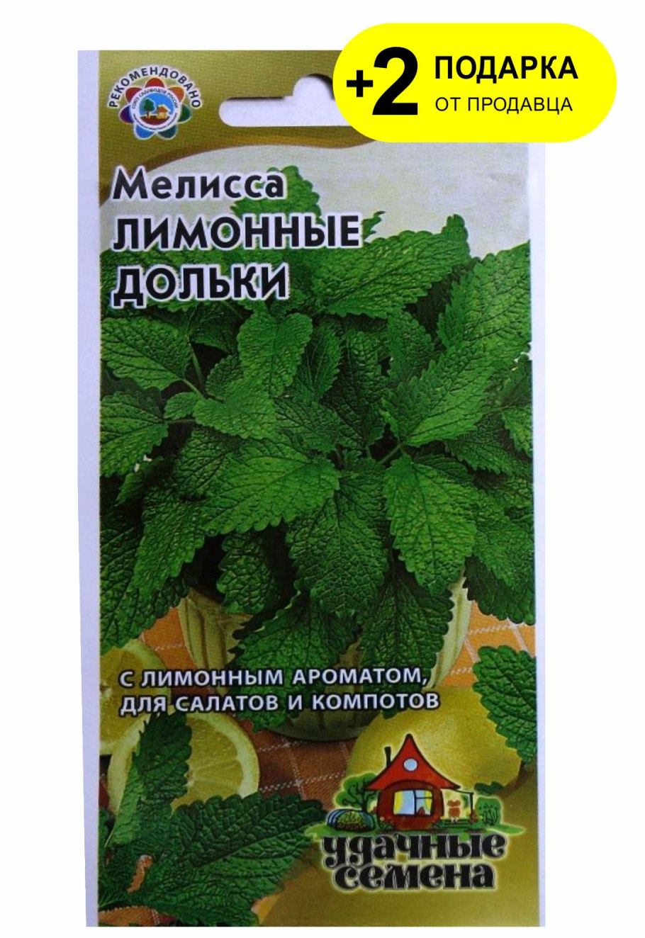 Мелисса лекарственная плод