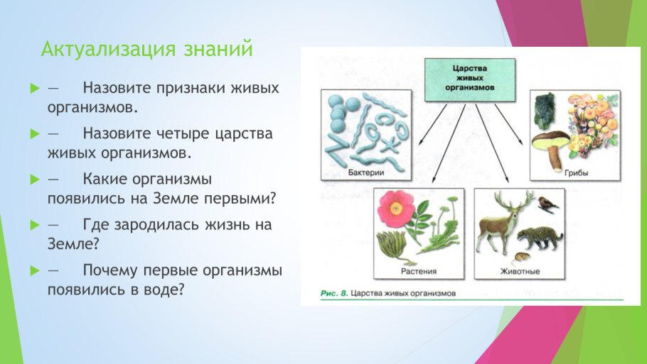 Царства живой природы