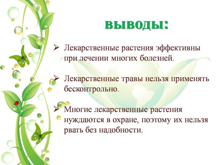 Проект на тему лечебные травы