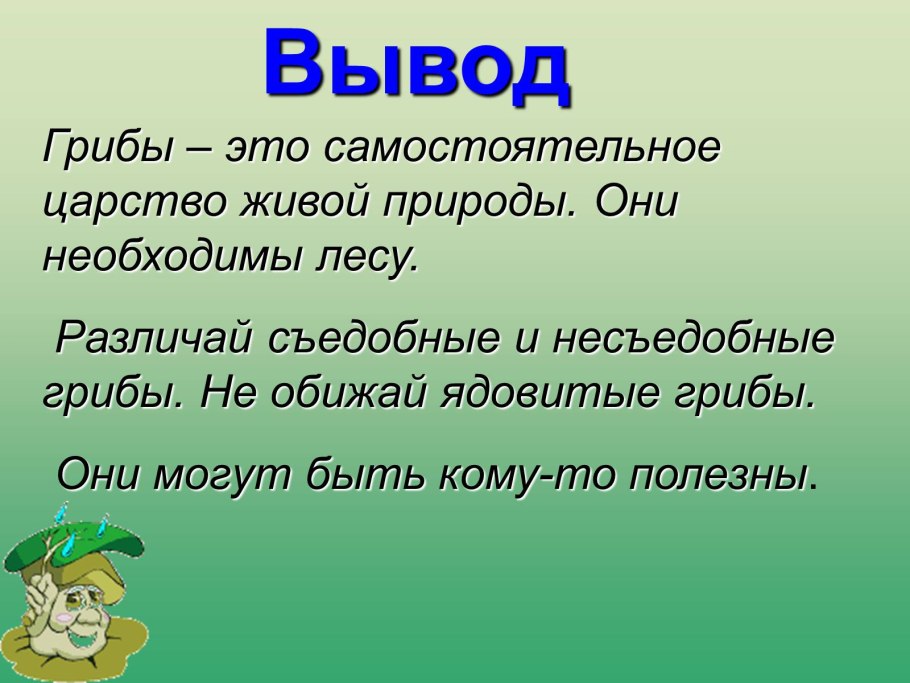 Вывод про грибы