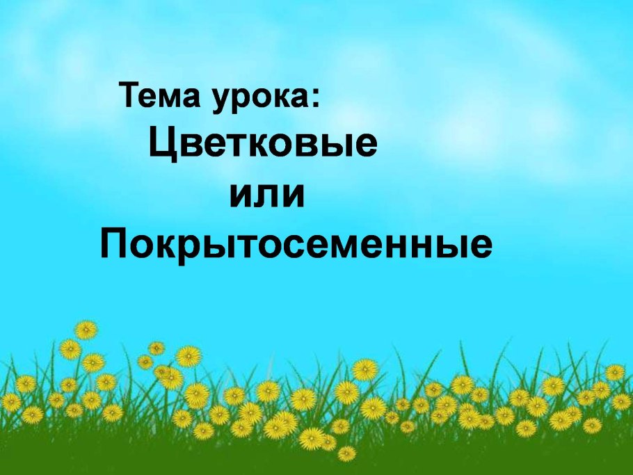 Покрытосеменные растения 5 класс биология