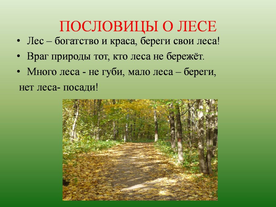 Поговорки про лес