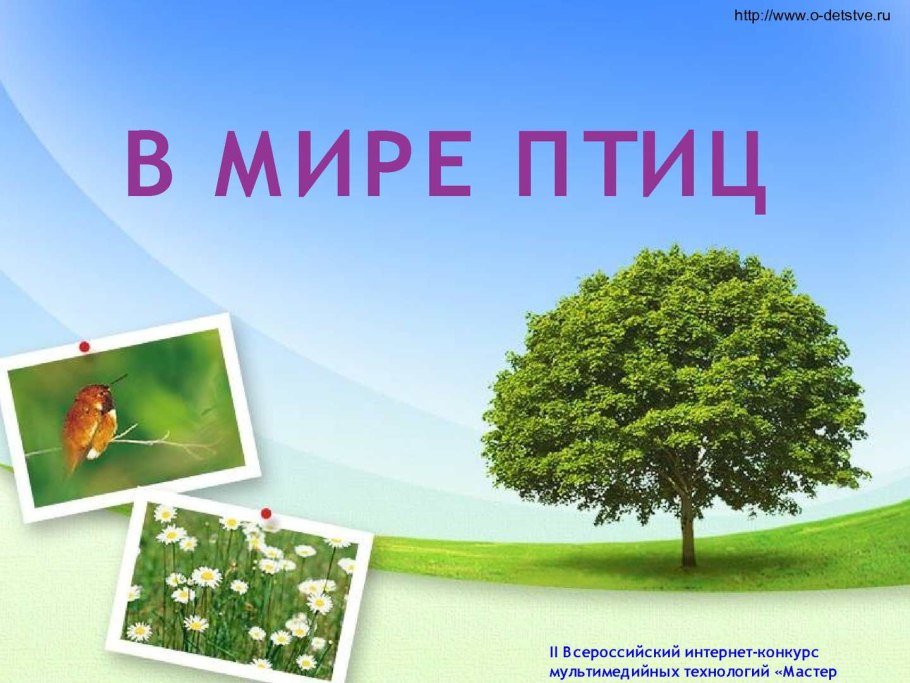 Растение живой организм