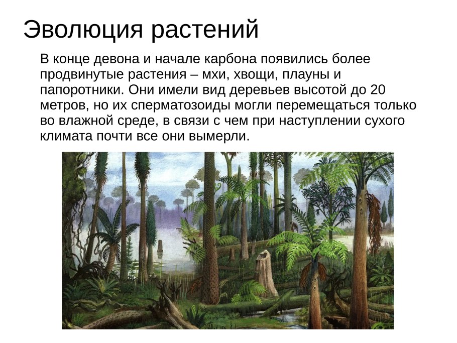 Эволюция. Растения