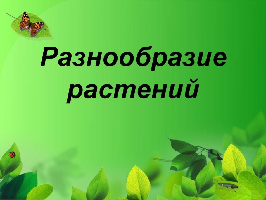 Разнообразие растений слайд