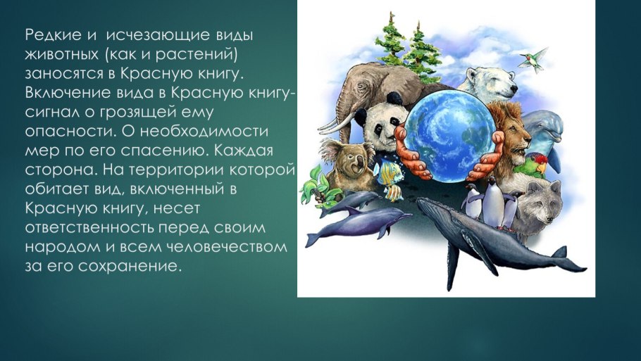 Исчезающие животные и растения
