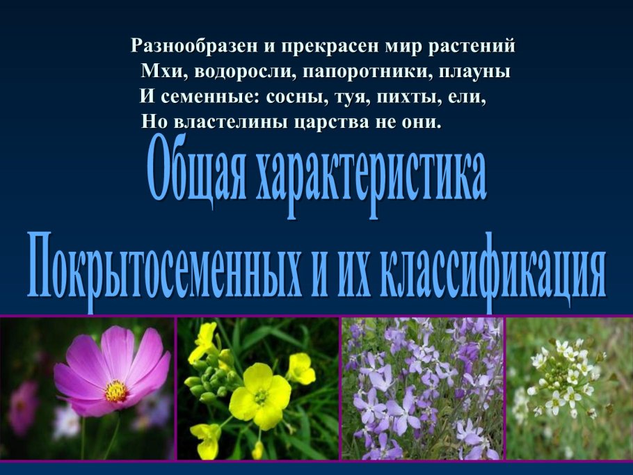 Покрытосеменные растения